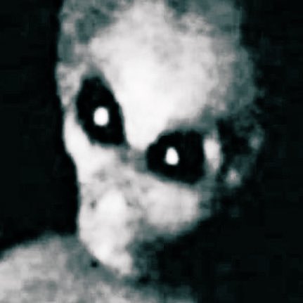 planethunter56's tweet photo. Given the vast quantity of UFO crash retrieval accounts that Leonard Stringfield collected, I find it very hard to doubt his assessments of Grey biologics: “The humanoids appear to be formed out of a mould, or sharing identical biological characteristics.”

Basically, the result of an assembly line for mass production.

#ufoX #uapX #ovniX