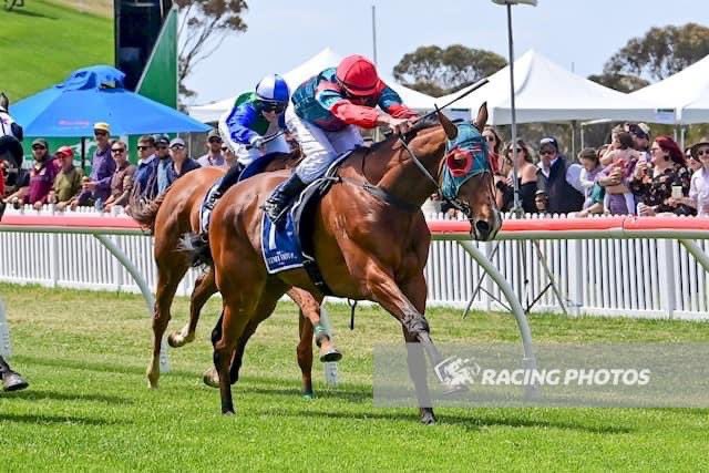 🐎🥇WINNER🥇🐎

#CEARDAI lead all the way to pick the 7th win of his career so far yesterday!

What a way to celebrate your 50th career start with another tough staying effort!

Congratulations <a href="/SonaBloodstock/">Sona</a> 

#racewithus #Racing #horses #cloud9 #horseracing #winner #racing