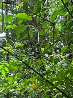 iAMhirro's tweet photo. @Pure8Nature I don't know what it is. I don't want to know 🥳 https://t.co/UHkEHa25mW