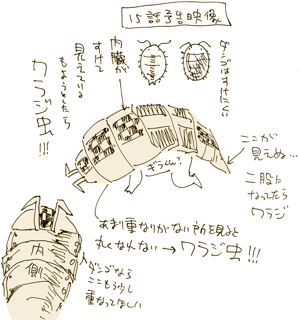 漫画デイリーランキング294位だそうですありがとうございます。二枚目の方の文字が多いからイラストじゃないよなと思って漫画カテゴリにしたよ。来週のどう見てもラクレス様の可能性が高すぎる謎の仮面男楽しみですね。 (1/1) 