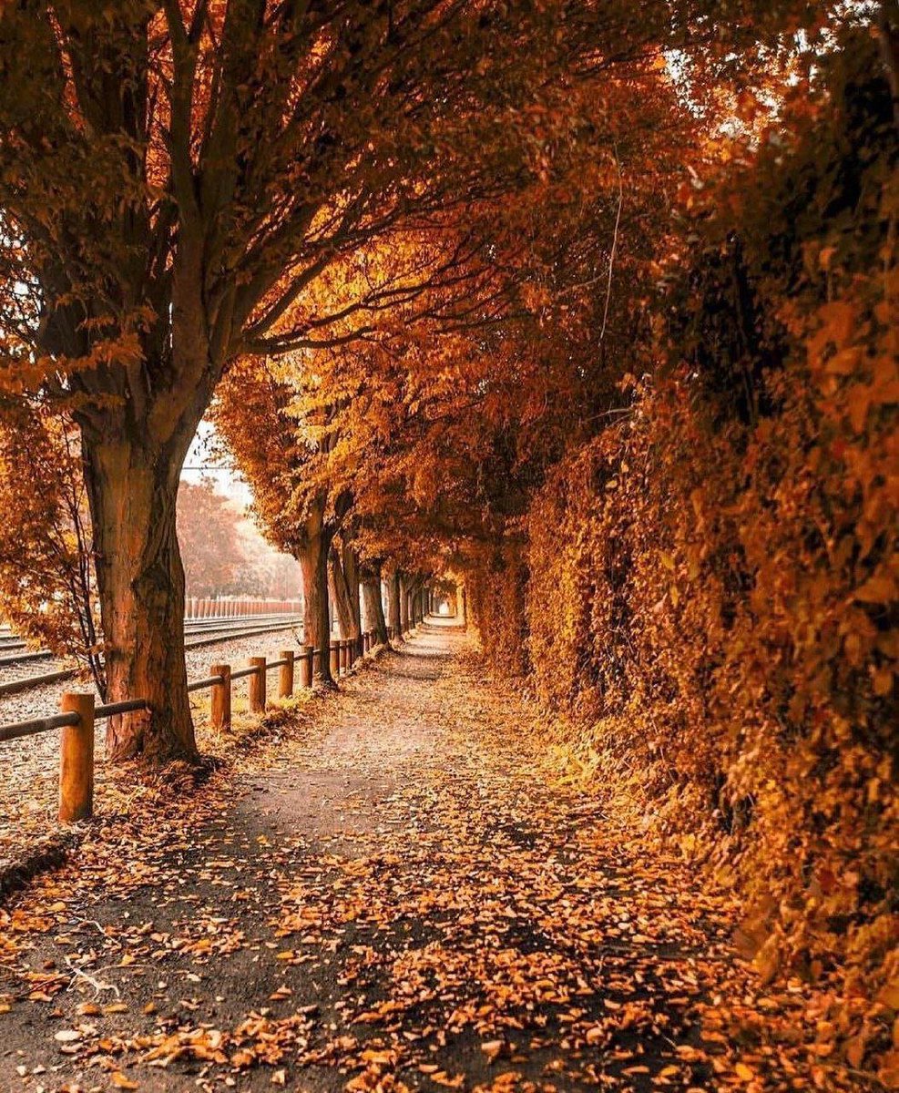 MARY_ESMAEELI's tweet photo. 🧡
Good morning, Happy Sunday 

#nature #photography https://t.co/osnM8s7cV5