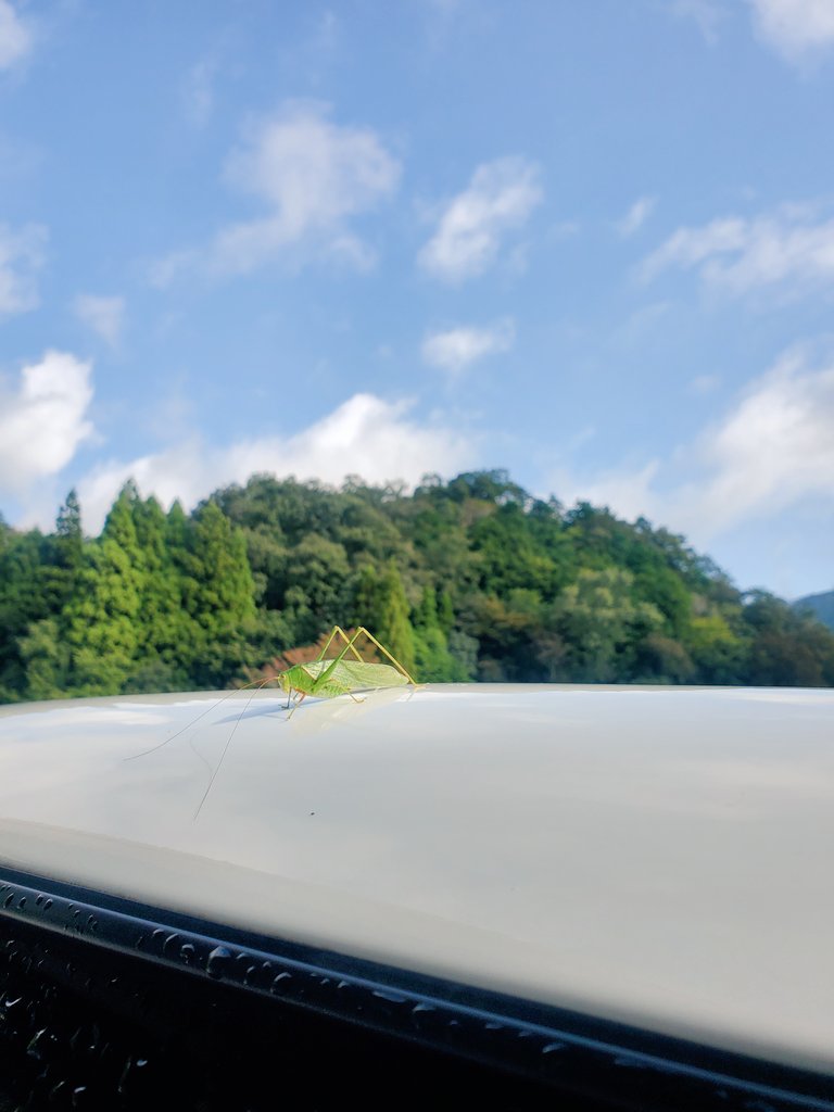 mizu6300's tweet photo. 早朝出勤の娘に合わせて早起きの休日
二時間で、どのくらい作れるかなとチャレンジ👀‼️✨
思いの外いいお天気なので、１０時半の整体の後、ちょっとドライブ🚗
お目当てのカフェ☕はお休みだったけど、もうひとつのカフェへ🏃✨続く
#ナノブロック
#東京スカイツリー
#シャーレ水ケ浜
#369TerraceCafe https://t.co/9Qs6xg15MR