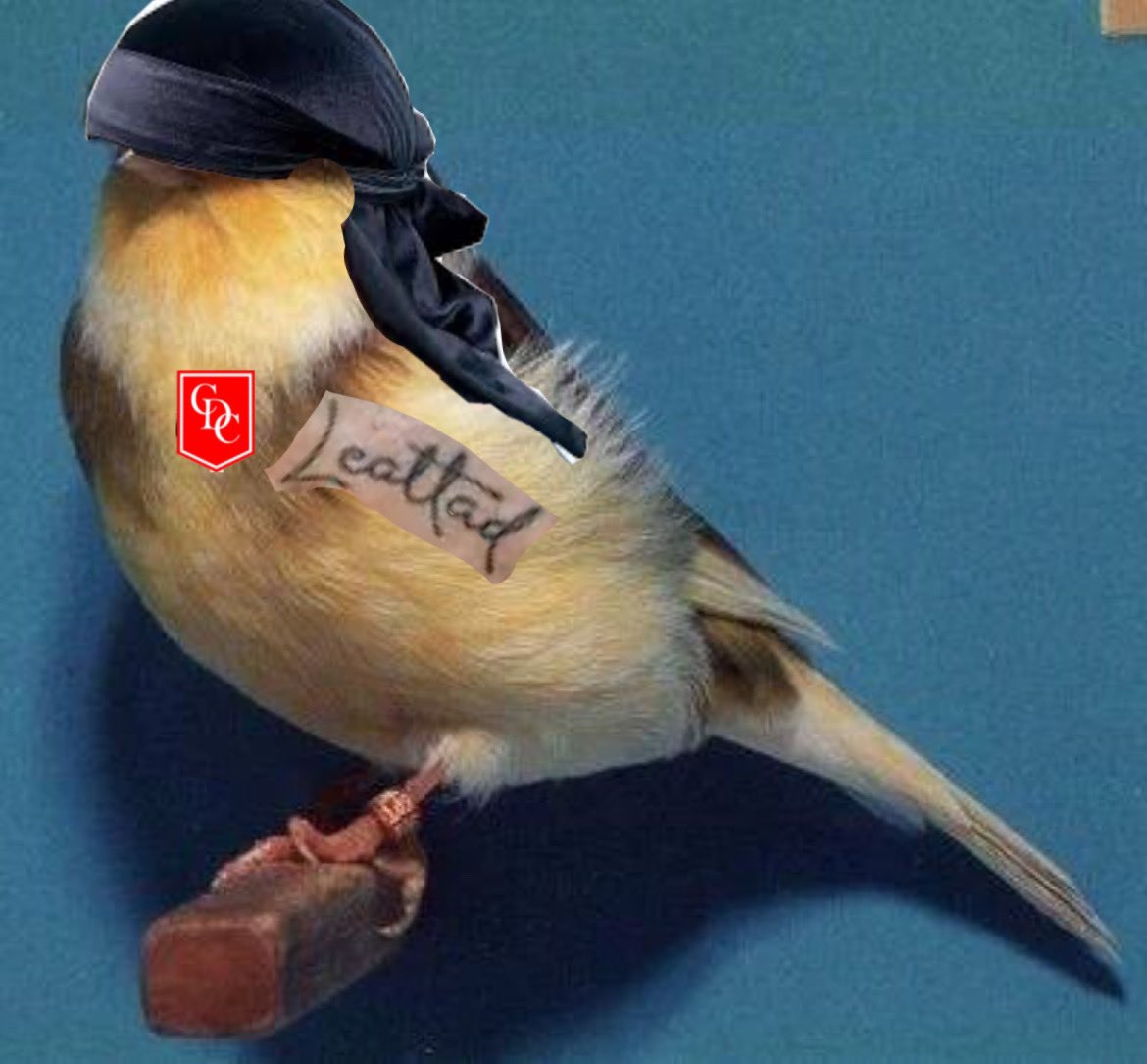 Cambaceres en semis, el pájaro tiene la pólvora mojada.

Entre los 4 mejores de Argentina, nos vemos el lunes, abz