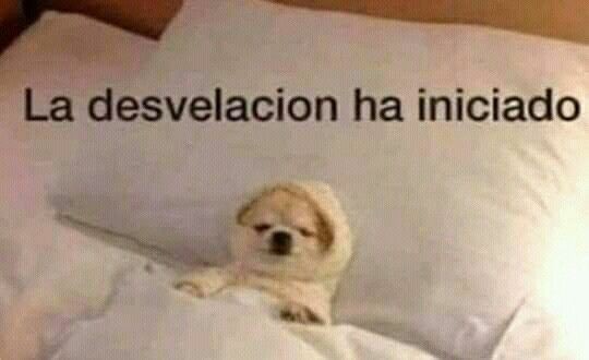 andyOM11's tweet photo. @christophervele En este perfil no perdemos la esperanza ✨ #4ever #4ever #4ever #4ever #4ever #4ever #4ever #4ever #4ever #4ever #4ever #4ever https://t.co/7mSTRMC5t2
