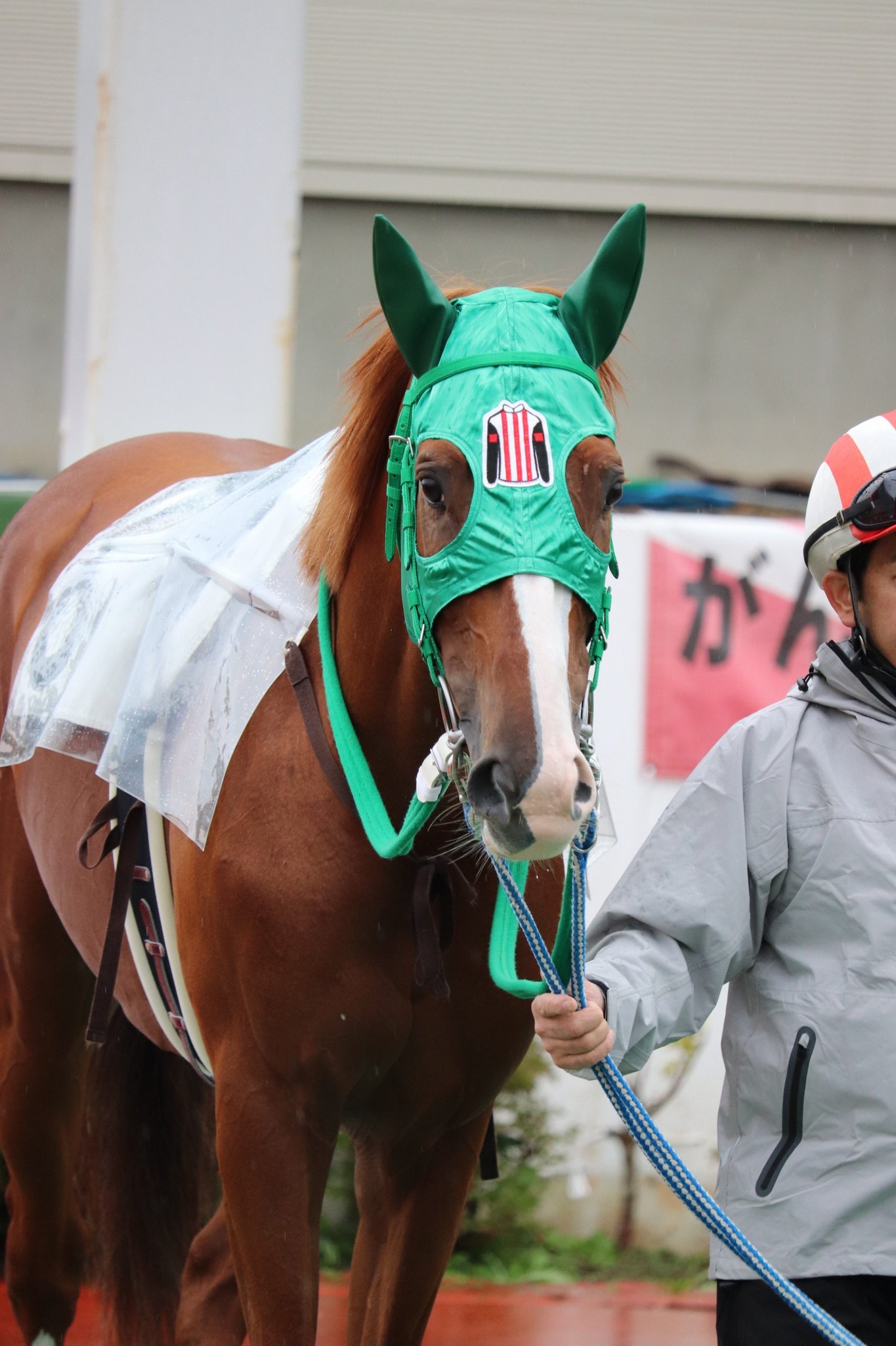 マスオ - Search / X