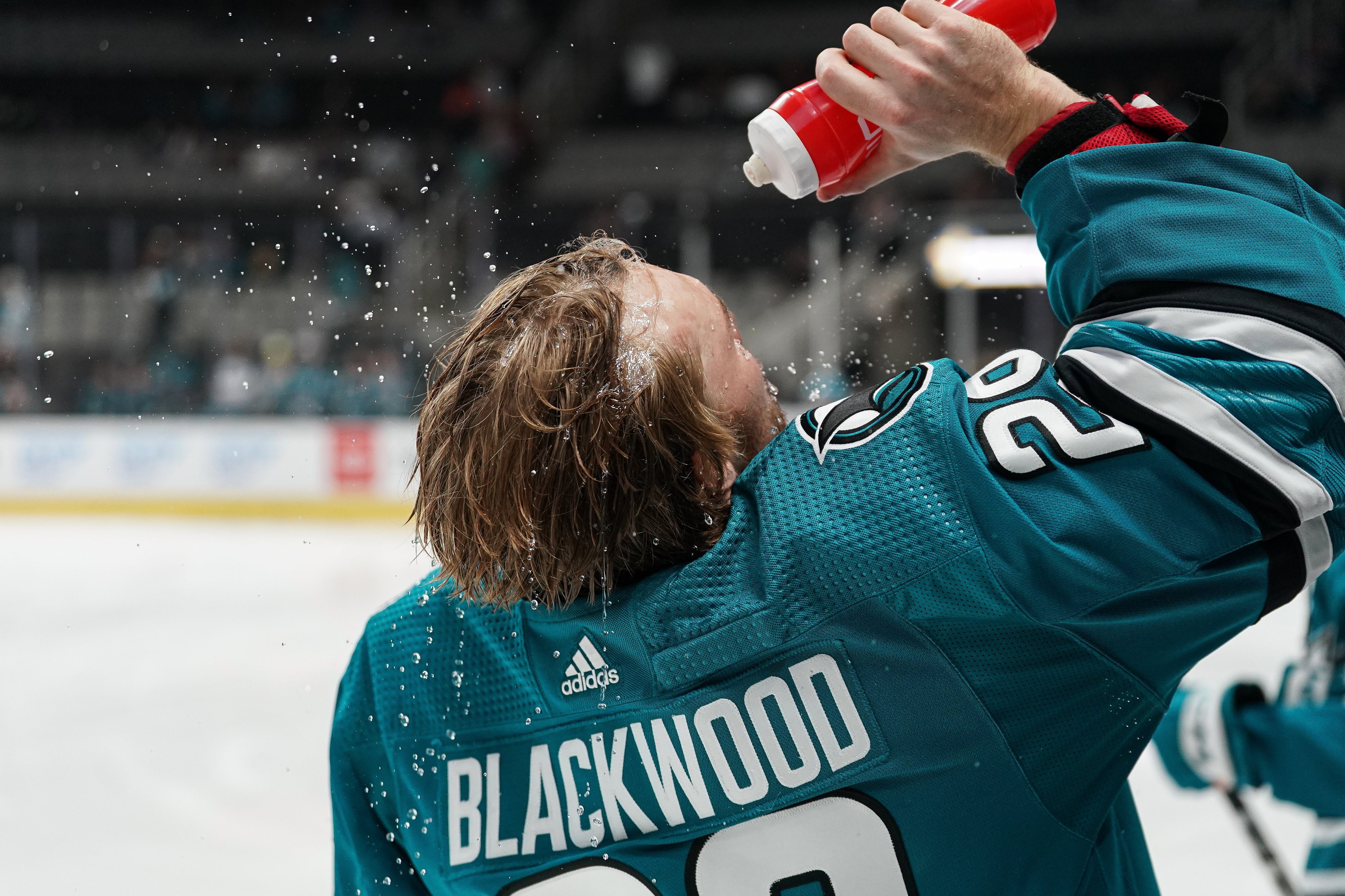 SHARK CITY HOCKEY on X: Mackenzie Blackwood looks good in a #SJSharks mask.   / X