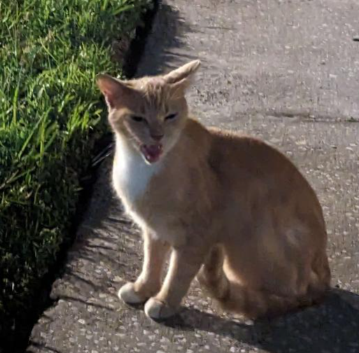 🌈 Sixelona - NOW ON BSKY - sixelona.bsky.social tweet media