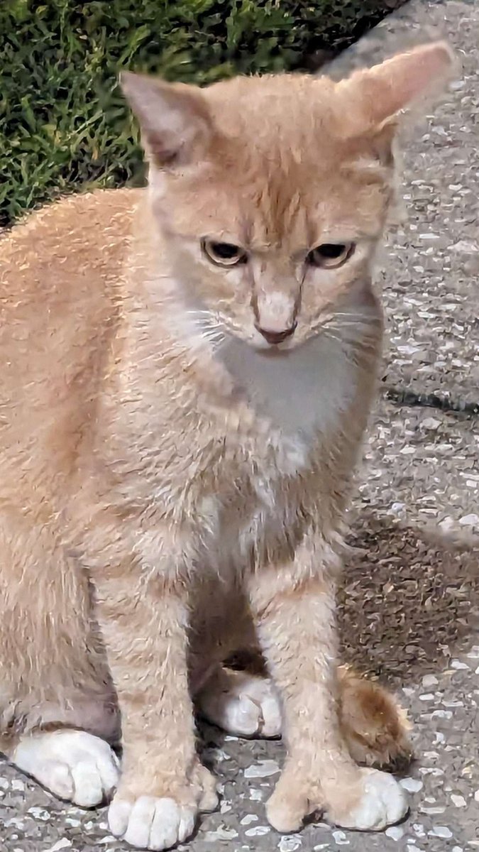 🌈 Sixelona - NOW ON BSKY - sixelona.bsky.social tweet media