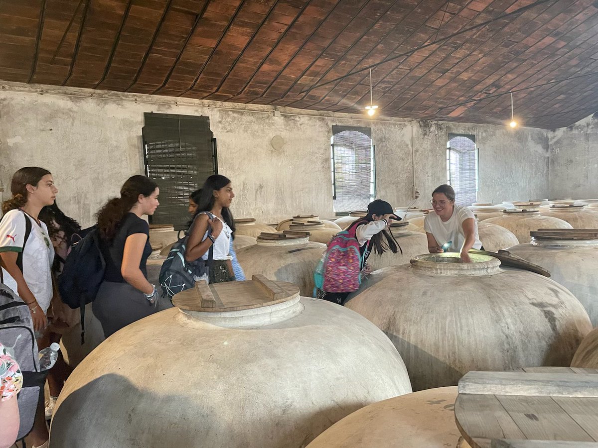 Visit to the olive oil mill and Alvear winery.
