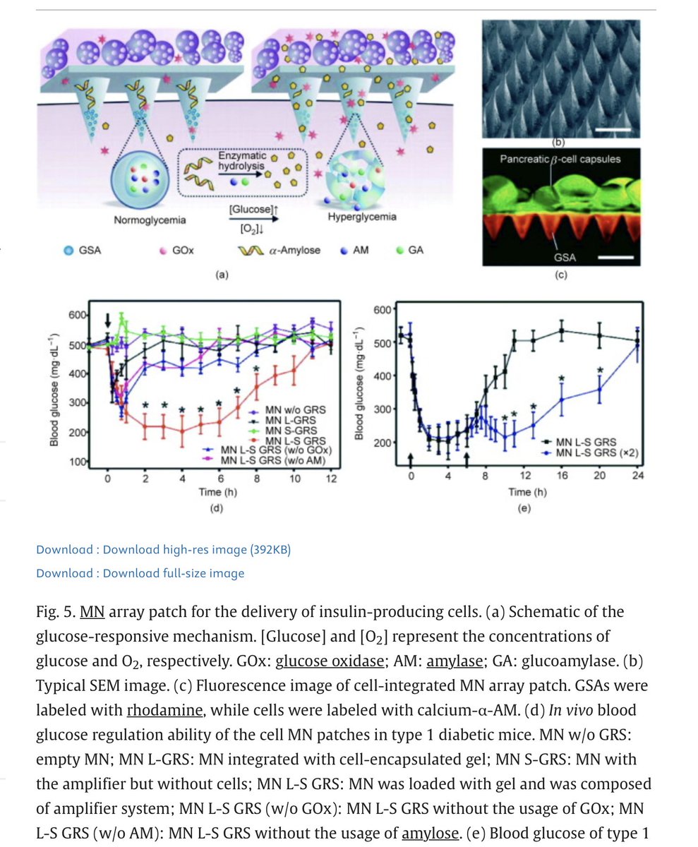 NPeppas's tweet photo. A very "current" article on "Macroencapsulation Devices for Cell Therapy" co-authored by Profs Wei Liu, @guzhenlab &amp; their associates, with @BmeOlivia Lanier and @NPeppas to @UTBiomedical &amp; @TexasChE and Marissa @WechslerLab of @UTSA BME in "Engineering" https://t.co/ydLnMI7am8 https://t.co/1ePZ8V121F