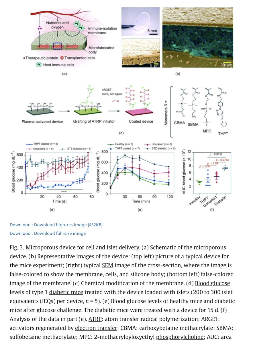 NPeppas's tweet photo. A very "current" article on "Macroencapsulation Devices for Cell Therapy" co-authored by Profs Wei Liu, @guzhenlab &amp; their associates, with @BmeOlivia Lanier and @NPeppas to @UTBiomedical &amp; @TexasChE and Marissa @WechslerLab of @UTSA BME in "Engineering" https://t.co/ydLnMI7am8 https://t.co/1ePZ8V121F