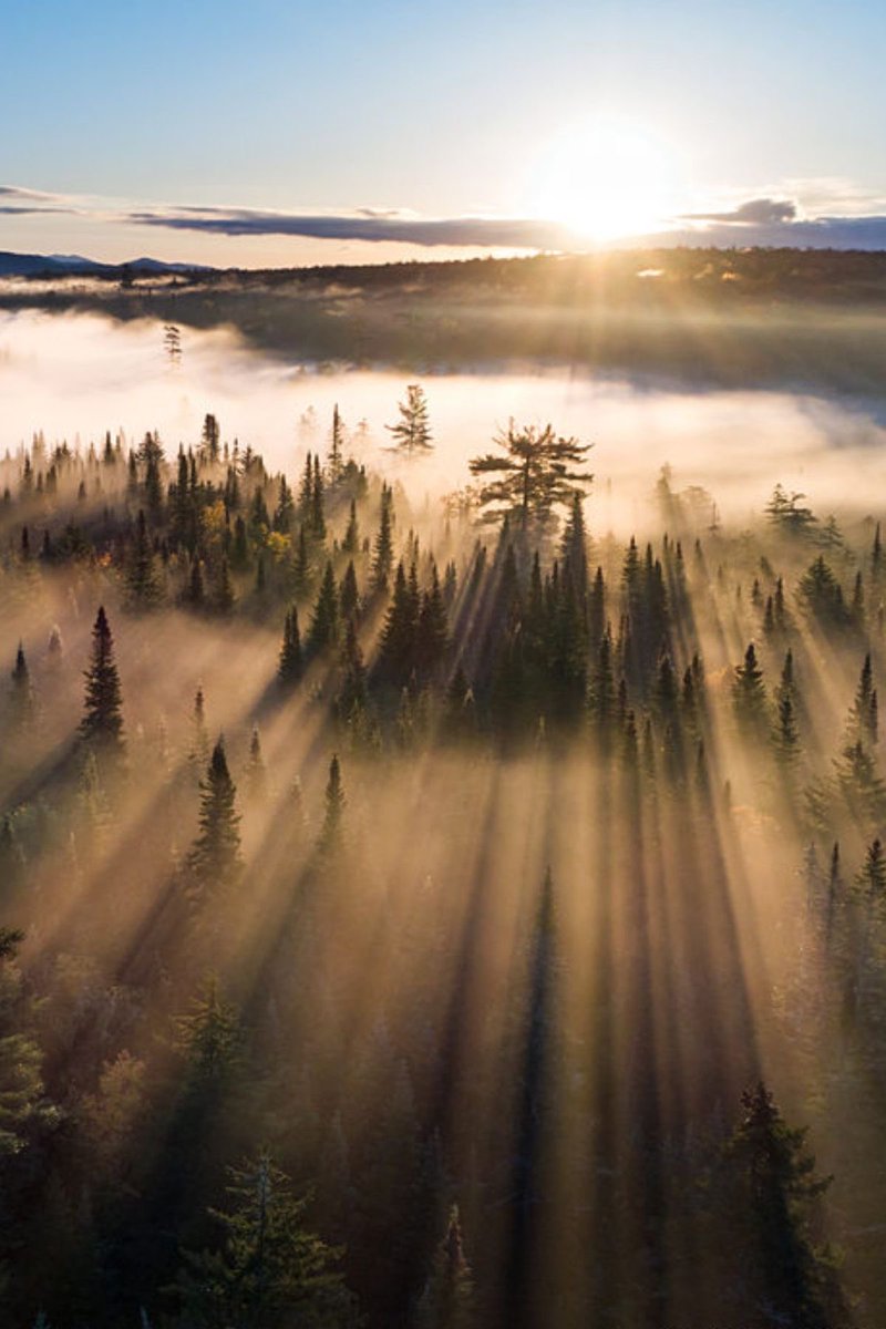 Good morning my friends !
#photos #photography #morning #sunrise