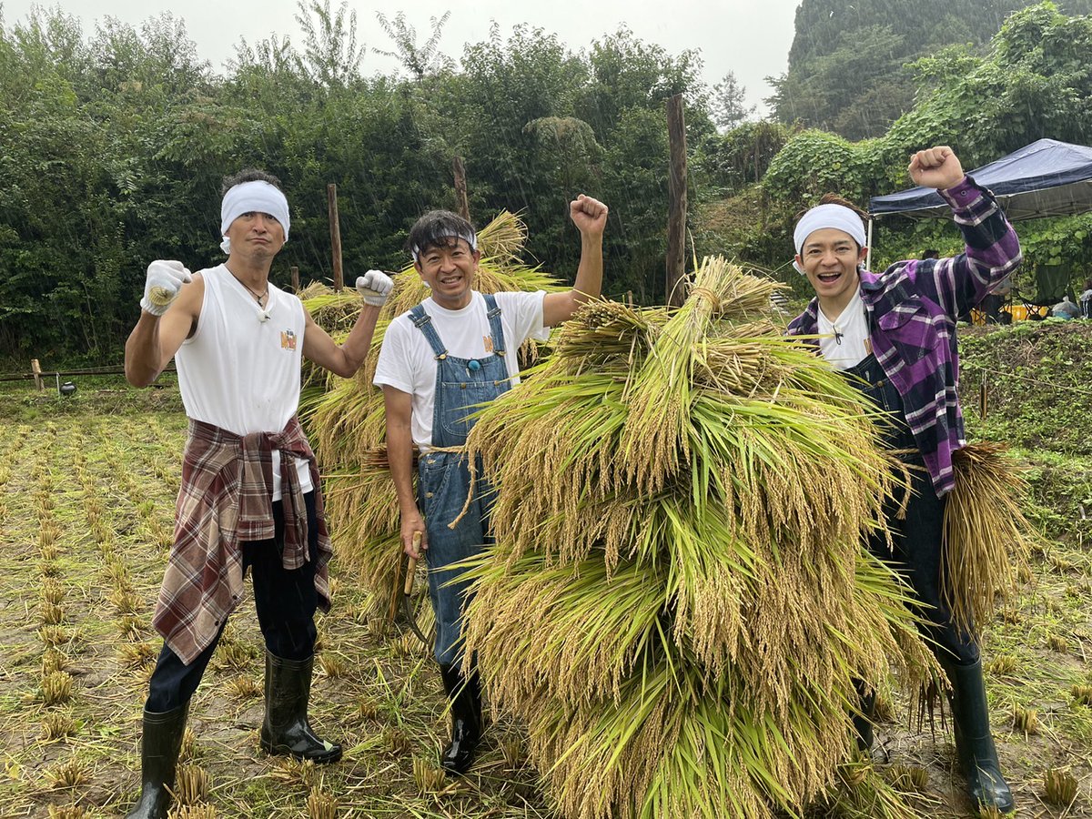 tetsuwan_DASH's tweet photo. ／
#鉄腕DASH 3時間SP放送中📡⭐️
＼

暑さにより急遽早まった稲刈り🌾
城島・松岡・岸が
福島の仲間たちと行いました✊!!

#DASH村
#城島茂  #松岡昌宏 #岸優太 https://t.co/cYP7ZCpeCZ