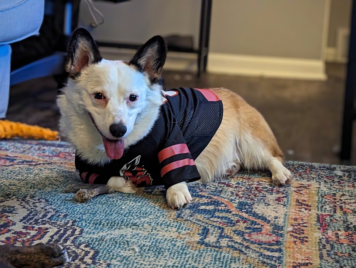 mostlycasey's tweet photo. Pups never once doubted the @Canes  tonight against LA https://t.co/2PUFq4zCce