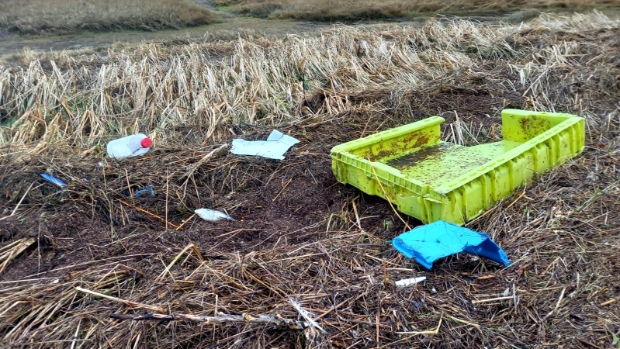 Boswachtersblog Staatsbosbeheer: Opruimactie ‘Schone Slufter’ -  texelditweekend.nl/l/323274