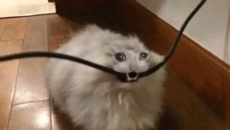 LittleVillal's tweet image. Mira morro, me estás causando ansiedad y ya me quiero matar
#4EVR