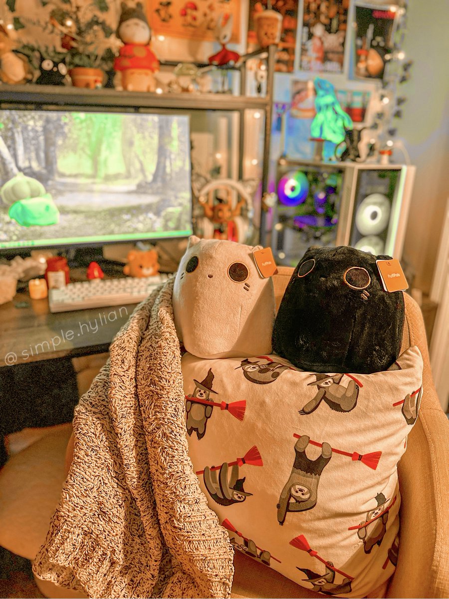 𝐴𝑠ℎ 𐂂 𓍊𓋼𓍊☽☘︎︎ tweet media