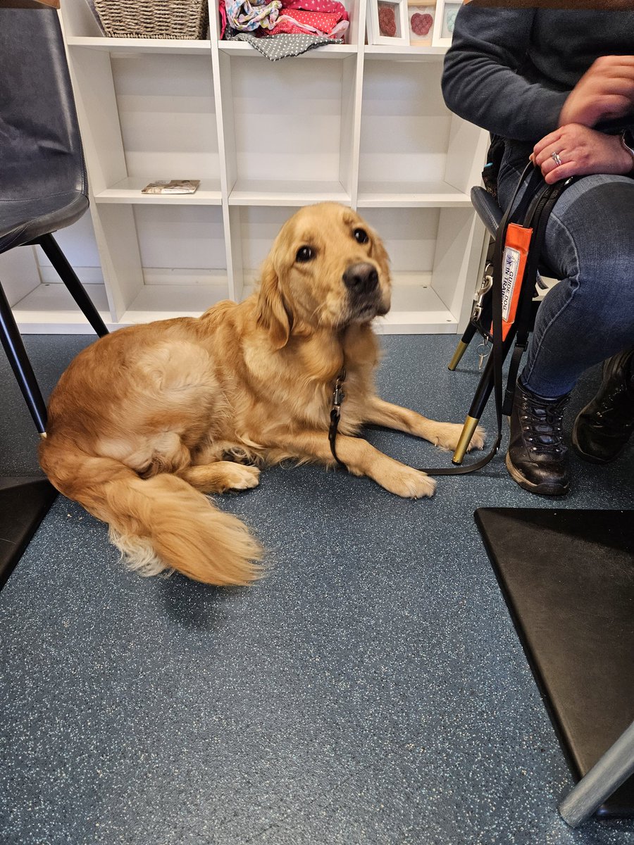 So many gorgeous little (and big) pooches in yesterday at The Little Green Cafe and every one of them so well behaved! A credit to their humans but a special shout out to the amazing people at Forfar's Guide Dog Scotland and their incredible service dogs.
m.facebook.com/story.php?stor…
