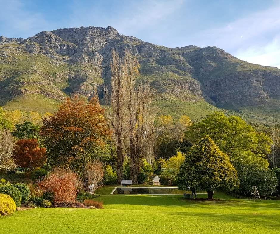 Happy #GardenDay  !🌸
Only 12 days to go until #GardenTownStellenbosch ! 🌼 
Here is a beautiful photo of #OldNectarGardens !
📷:Old Nectar Farm
🌸Full program: gardentown.visitstellenbosch.org
#stellenbosch #visitstellenbosch #GardenTown2023 #spring <a href="/SboschVisio/">Stellenbosch Visio</a> <a href="/StellMun/">Stellenbosch Municipality</a>  #GardenDaySA