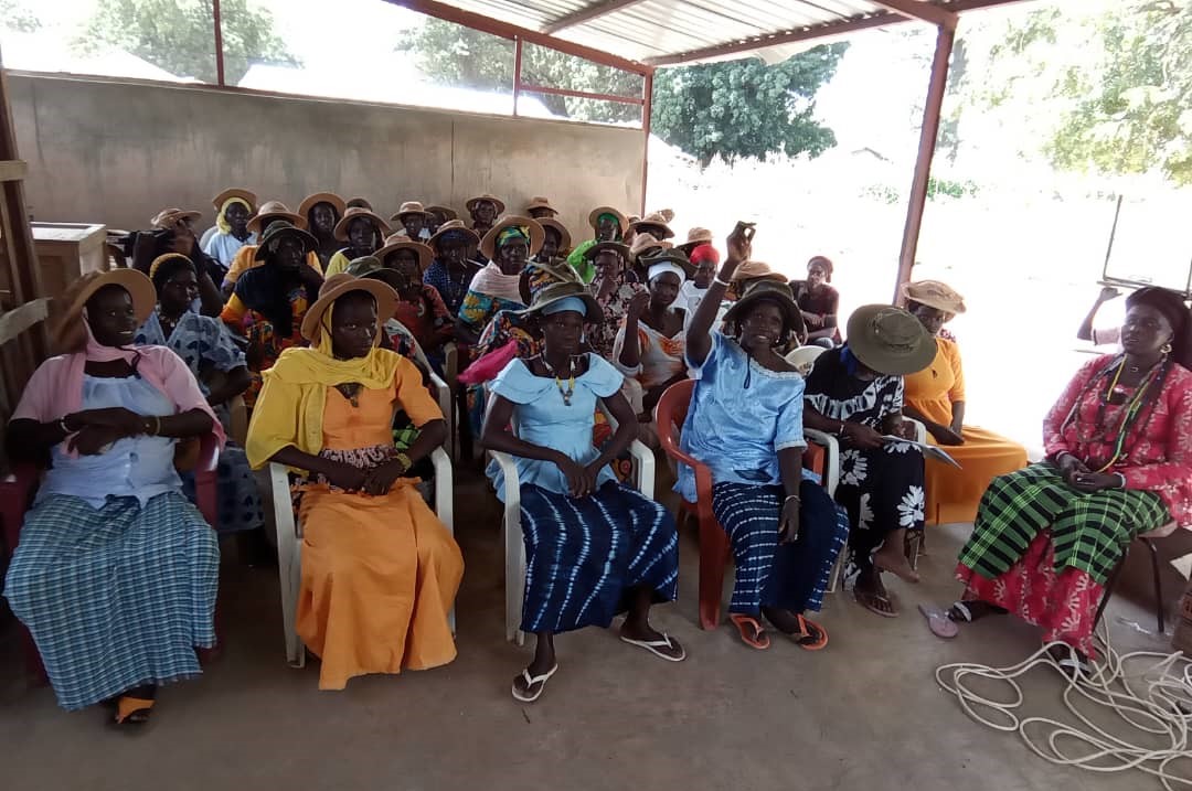 ICBAAgriculture's tweet photo. Scientists from #ICBAAgriculture organized a series of farmer field schools in The Gambia from 24 to 30 September 2023 under the #RESADE project.
A total of 184 farmers, including 150 women, were trained in producing and using biochar; https://t.co/HLzU1fimSZ