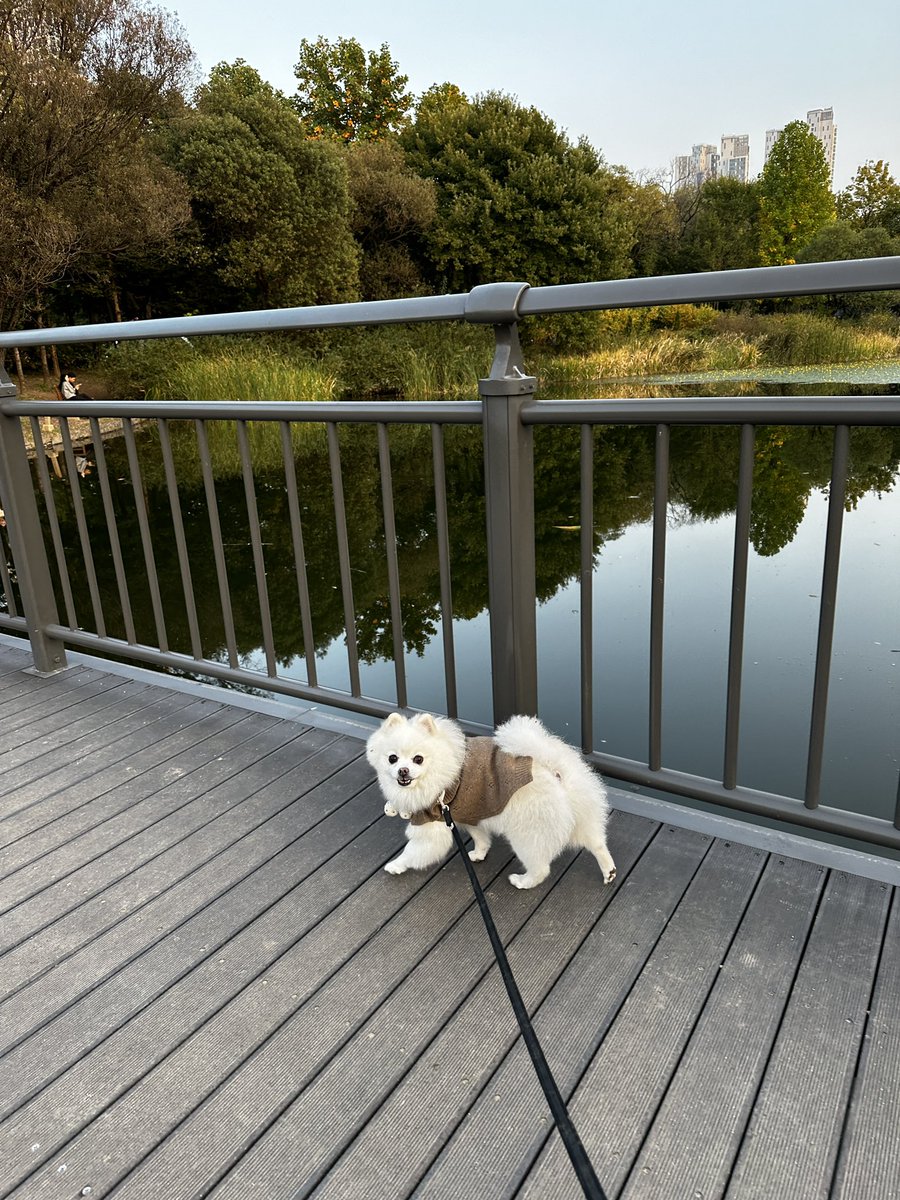 서울숲 조치 몽자야... 누가 나한테
오십억만 줘