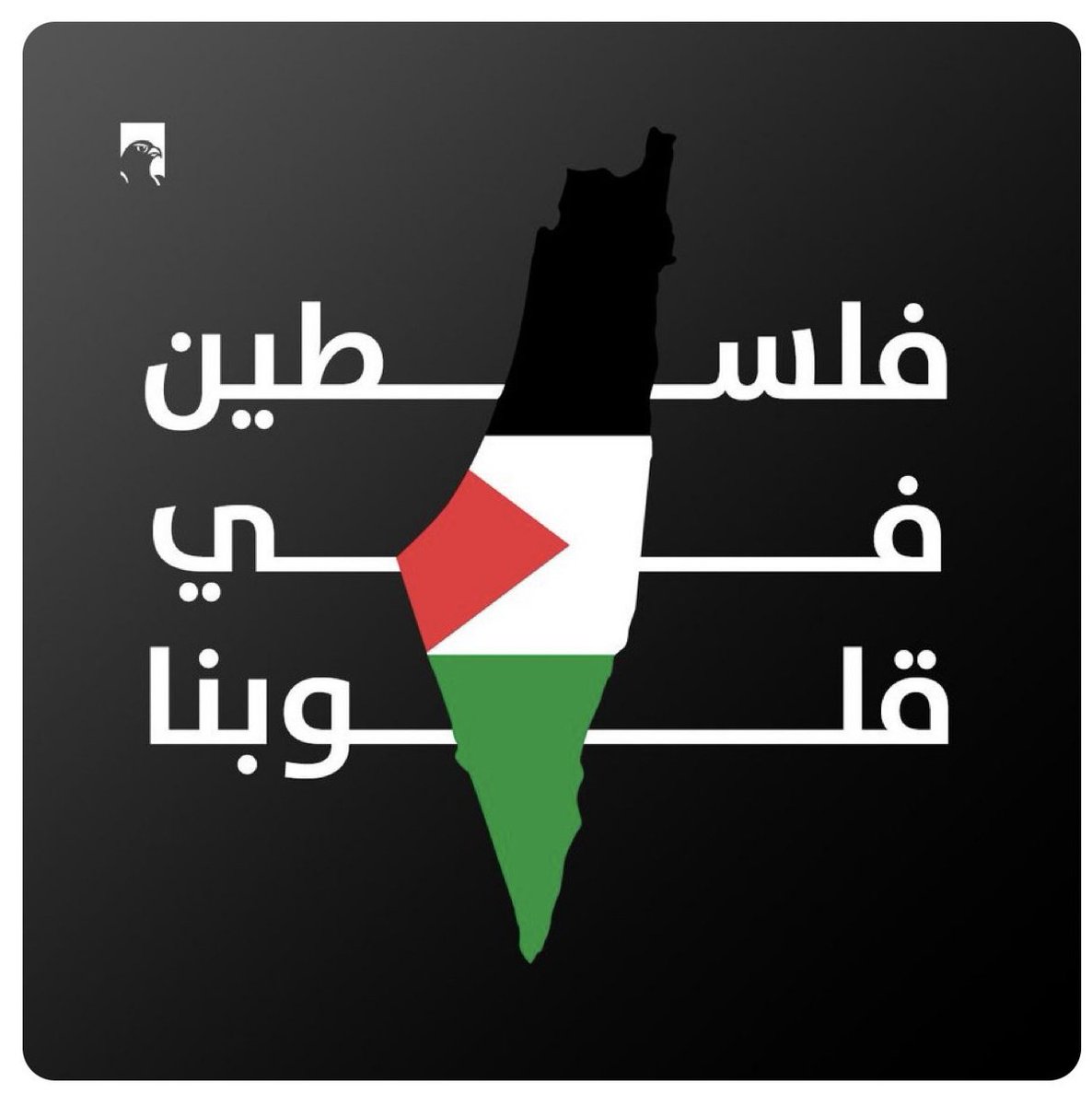 abdullah9092's tweet photo. #Gazagenocide 
اللهم احفظ أهلنا في فلسطين وانصرهم على عدوك و عدوهم. https://t.co/Negdbplu9I