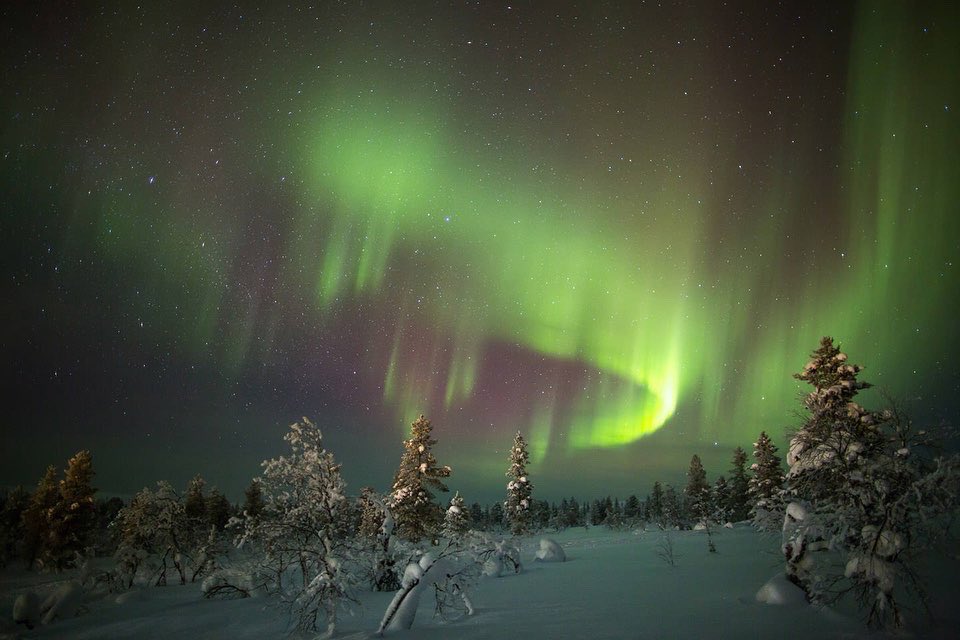 wandern_de's tweet photo. Finnland: 8 Tage geführte Winter-Wanderung im finnischen Inari 🥾
❄️ https://t.co/1pxN11dep0 ❄️ Link in der BIO

#winterwandern #wanderninfinland #polarlichter https://t.co/ERrDf2K3fx