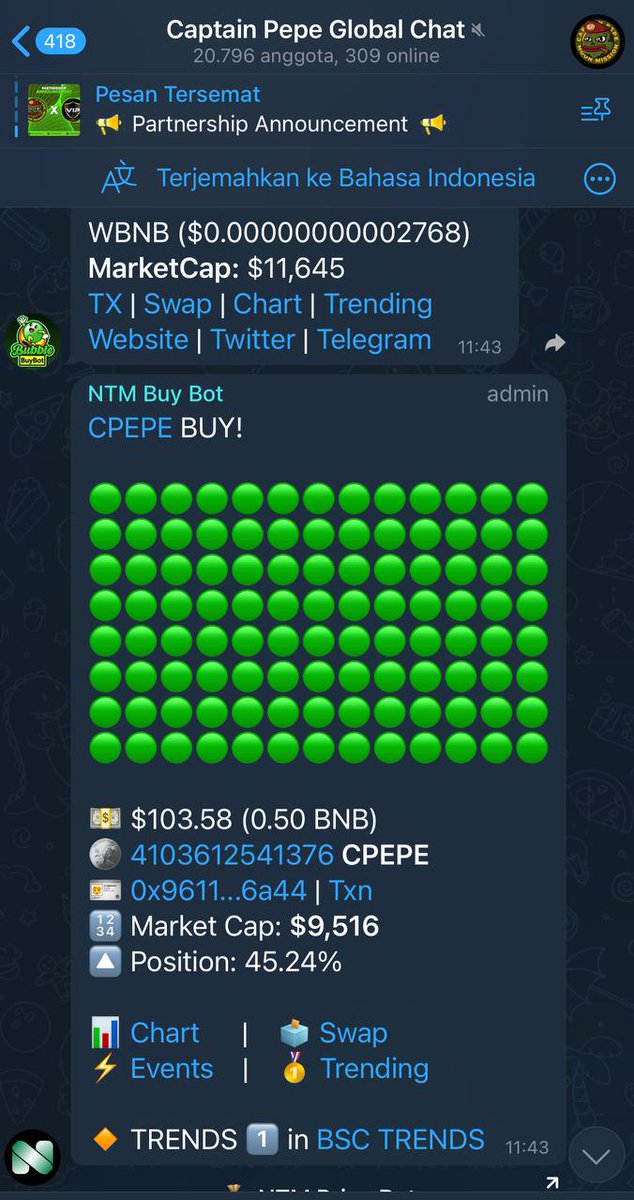 Captain Pepe 🐸 tweet media