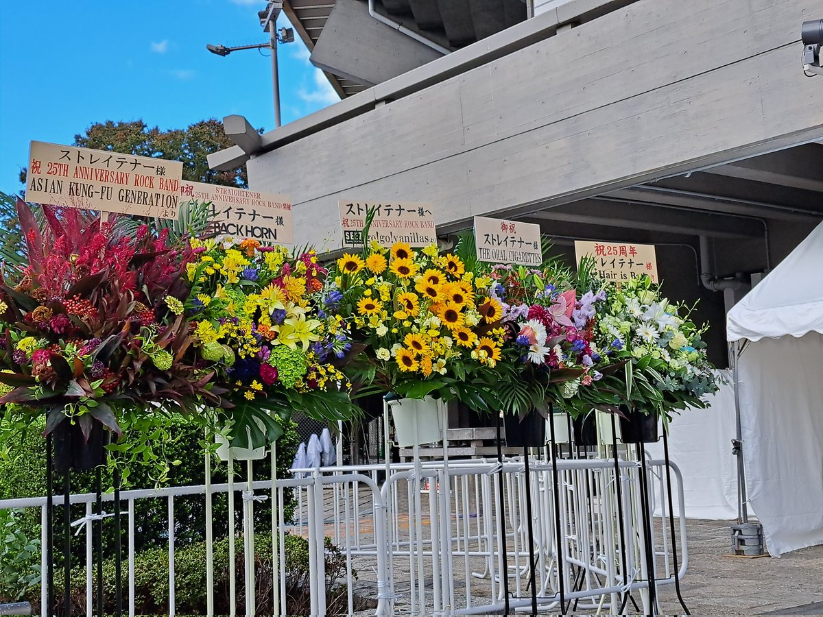 BnJunko's tweet image. 日本武道館　着きました！
back number見つけました✨
#ストレイテナー 
#25TH_ANNIVERSARY
#日本武道館
