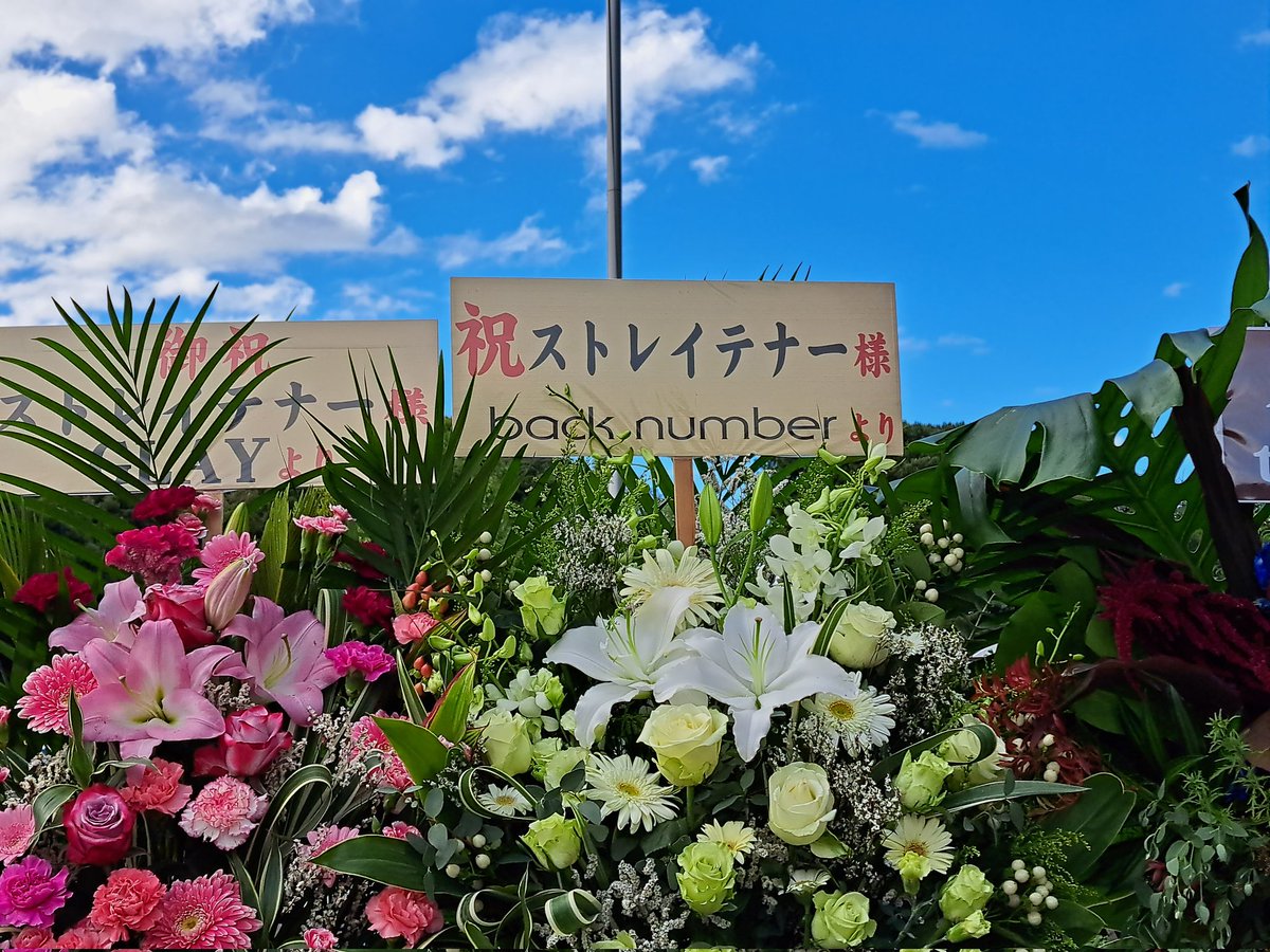 BnJunko's tweet image. 日本武道館　着きました！
back number見つけました✨
#ストレイテナー 
#25TH_ANNIVERSARY
#日本武道館