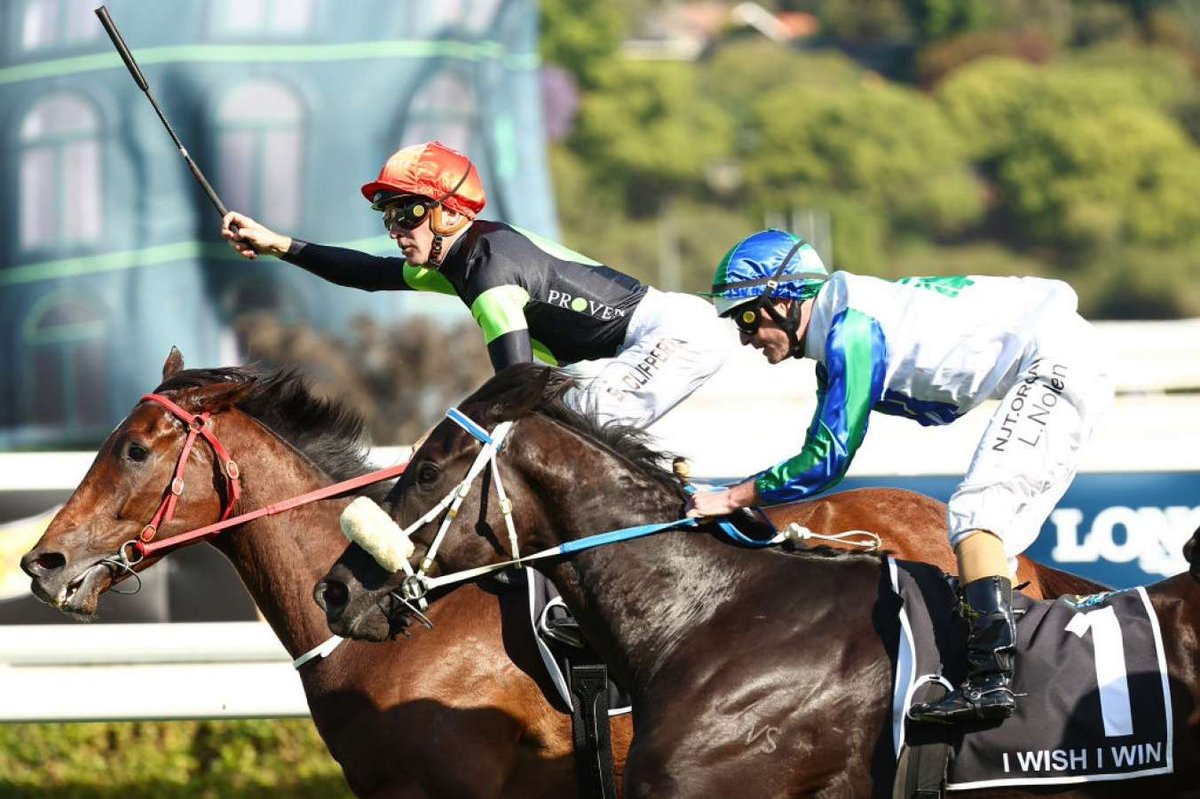 Prominent Trainer Peter Moody says he may have been a year too late entering stable star I Wish I Win in The Everest.

For full story, view link below.

jockeyhub.com.au/trainer-hub/mo…

#AusTrainerNews #TrainerNews #TrainerHub #TrainerHubAustralia #NSWRacing #TheEverest #TABEverest