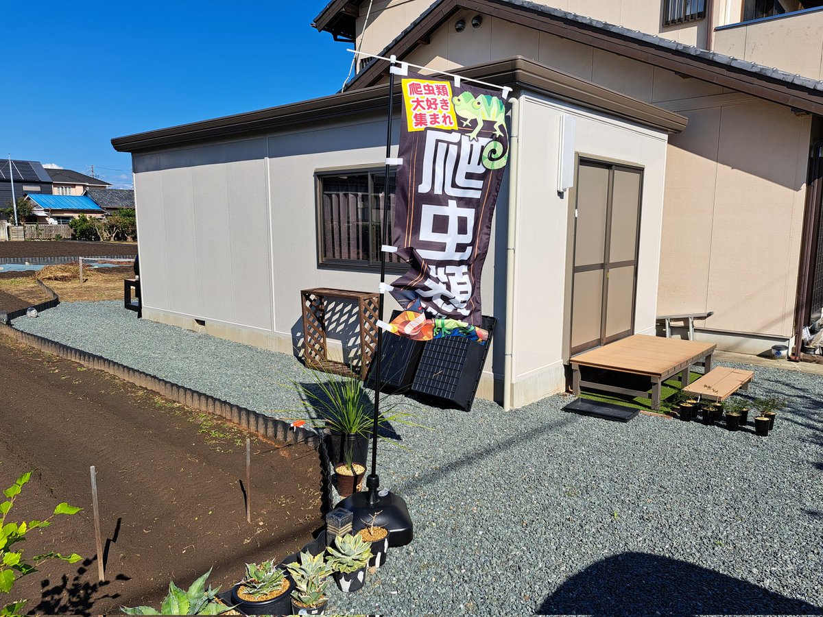 tsugachan5136's tweet photo. #爬虫類ショップ
#Kslash
浜松市にある、爬虫類ショップ(亀専門店)「K-slash」さんに行ってきました🎵
まだ、9月にオープンしたばかりの新しいショップです😊
店内はとてもキレイで管理が行き届いている印象です。
皆さん、是非遊びに行ってみて下さい😄 https://t.co/GwH1KhyIuF