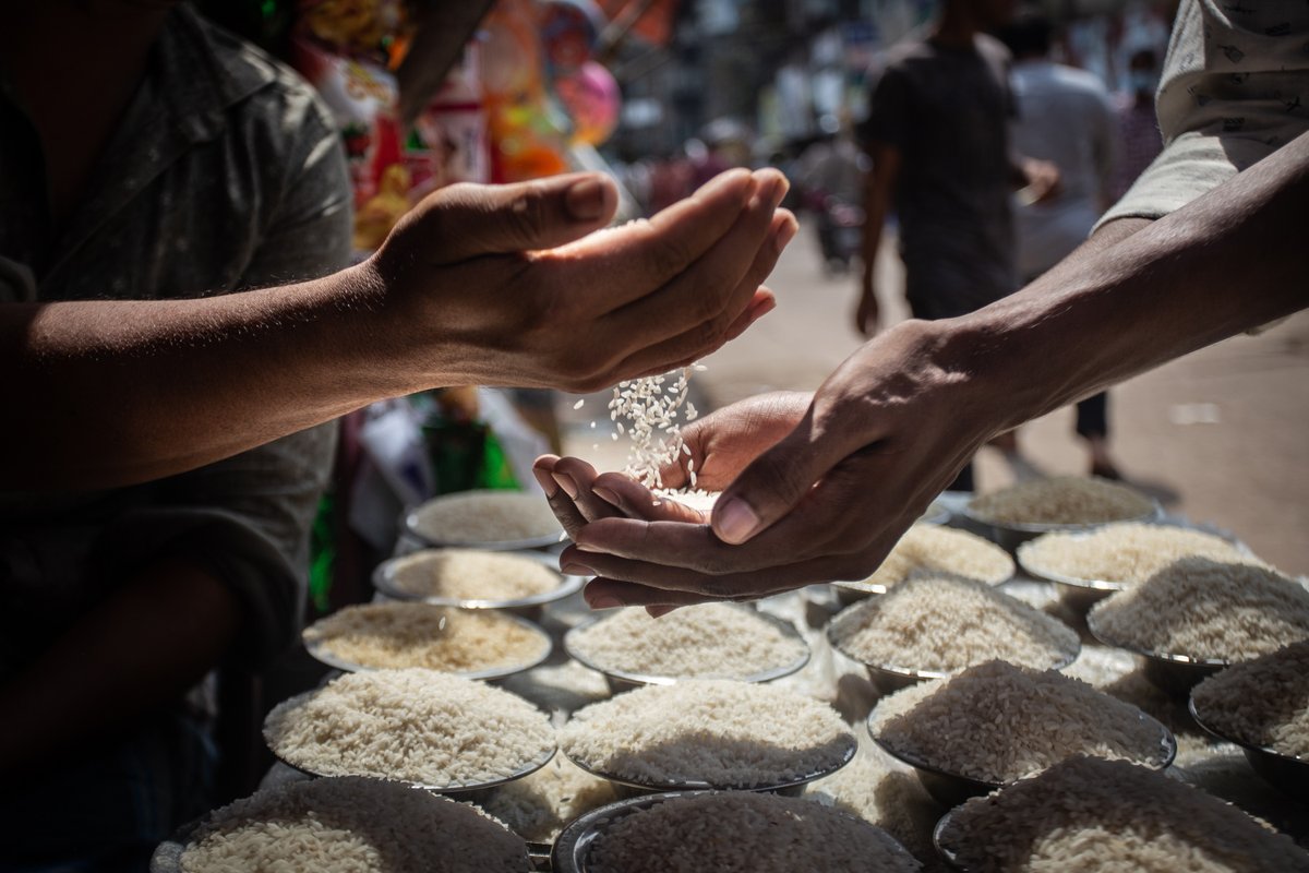 FAOBangladesh's tweet photo. #WorldFoodDay
We are working hand in hand with our resource partners to improve water infrastructures, introduce advanced aquaculture technologies &amp; conduct fisheries data surveys to help policies on fishery ecosystems.
Thank you 🇩🇪🇪🇺🇯🇵🇳🇱🇸🇪🇬🇧@IFAD @USAID @WorldBank https://t.co/CKP90oTEDw