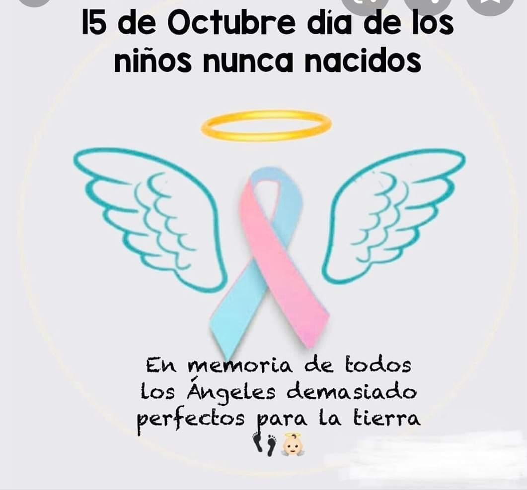 FanyRueda_'s tweet photo. Hoy 15 de octubre se celebra el día mundial de la concienciación sobre la Muerte Gestacional y Perinatal.
Esa muerte de la que nadie habla, que muchos callan y que causa un duelo con un profundo dolor silenciado.
#15octubre #DiaMundialMuerteGestacionalyPerinatal #bebesnonacidos https://t.co/7aVdAkrfXb