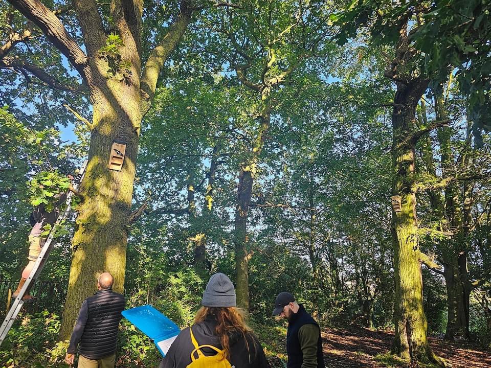 Bat box installation at Colwick Wood by the Friends of Group and the Notts Bat Group this weekend. Huge thanks to all volunteers from both groups.