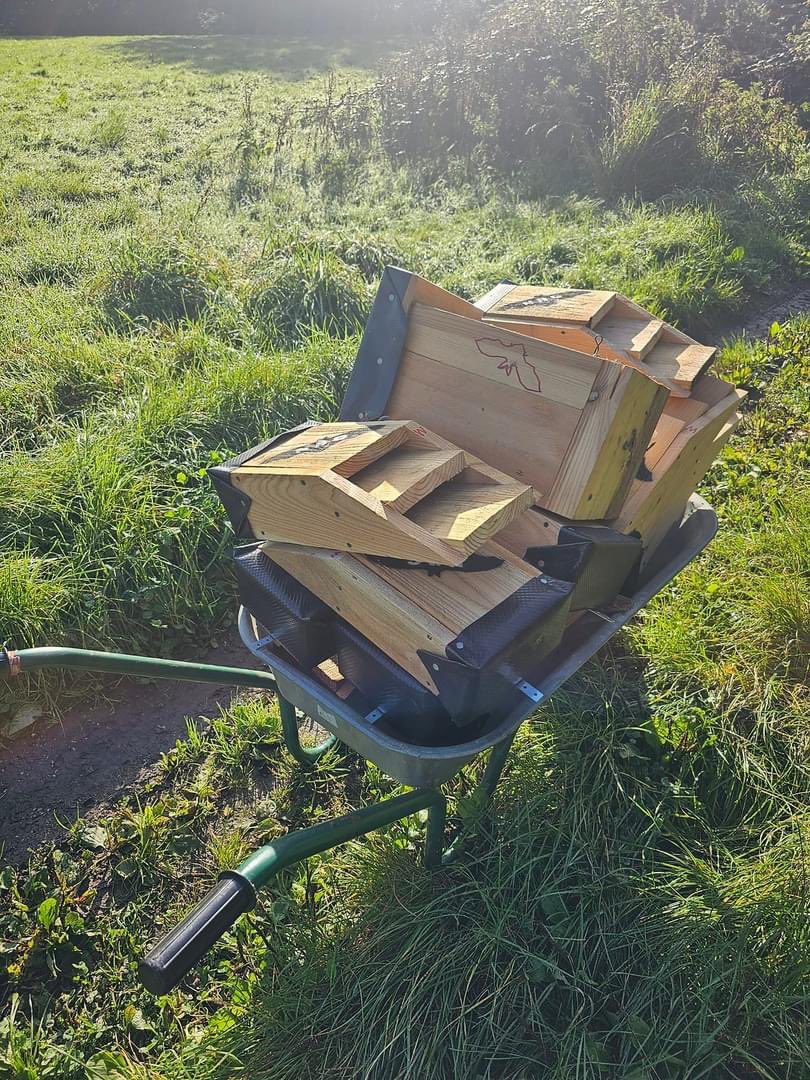 Notts Bat Group tweet media