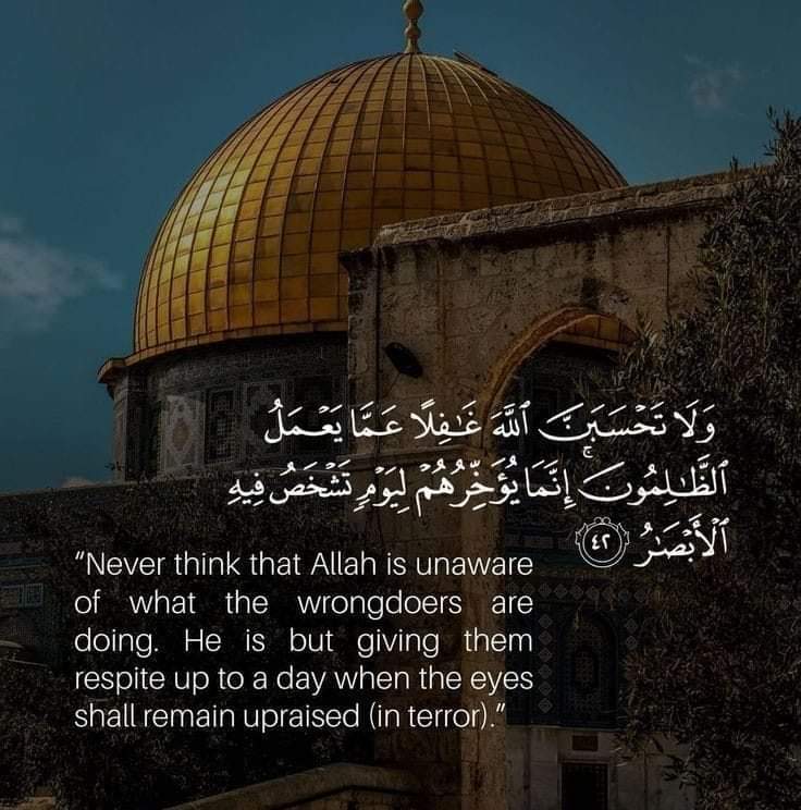 ElsayihMustafa's tweet photo. #Palestine https://t.co/lspk3R2nP4