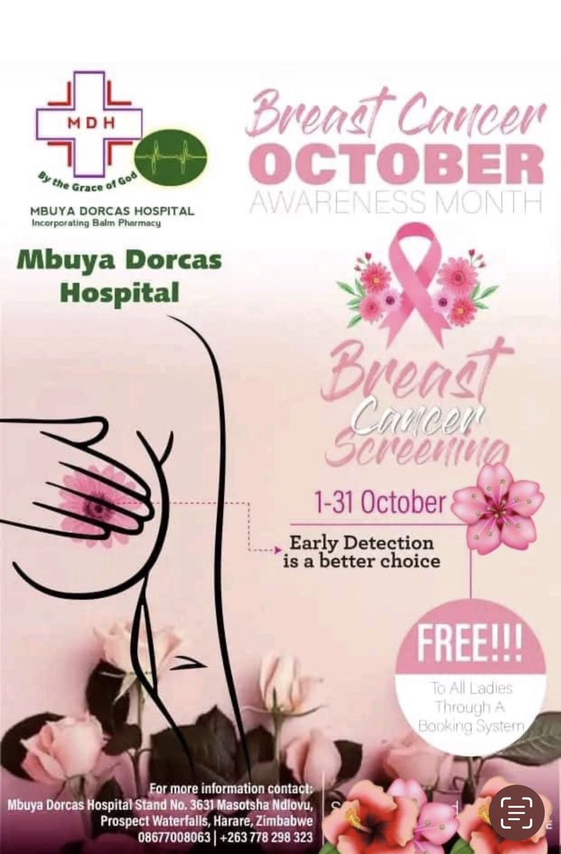 RaphaelMakota's tweet photo. Breast Cancer Awareness and Screening in Harare https://t.co/fRPCaNIm6I