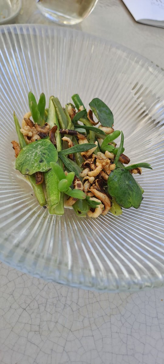 MICHELINgidsBNL's tweet photo. Plant-based creativity at #Wildn. 

#Antwerp #GreenMICHELINStar https://t.co/OQdP1VE769
