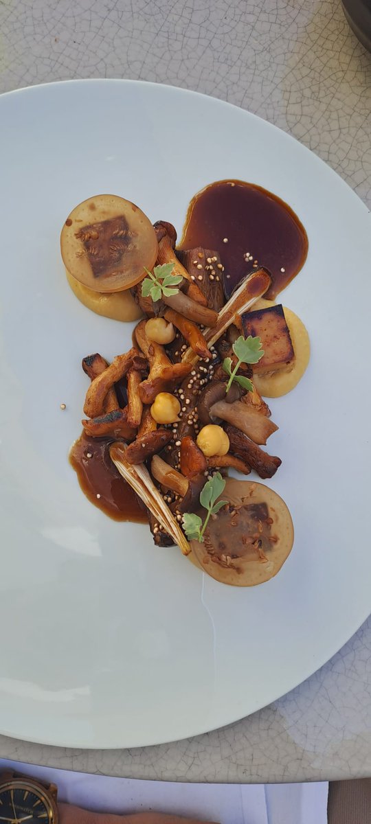 MICHELINgidsBNL's tweet photo. Plant-based creativity at #Wildn. 

#Antwerp #GreenMICHELINStar https://t.co/OQdP1VE769