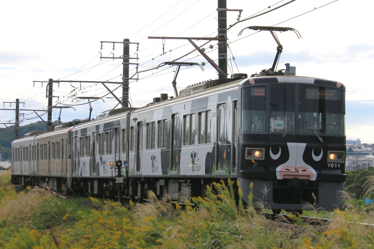 daisukitrain's tweet photo. 2023/10/15
こどもの国線　東急電車まつり開催に伴う臨時列車①
181運行　Y000系Y001F(うしでんしゃ)＋Y002F(ひつじでんしゃ) https://t.co/eBSFgs1NpK