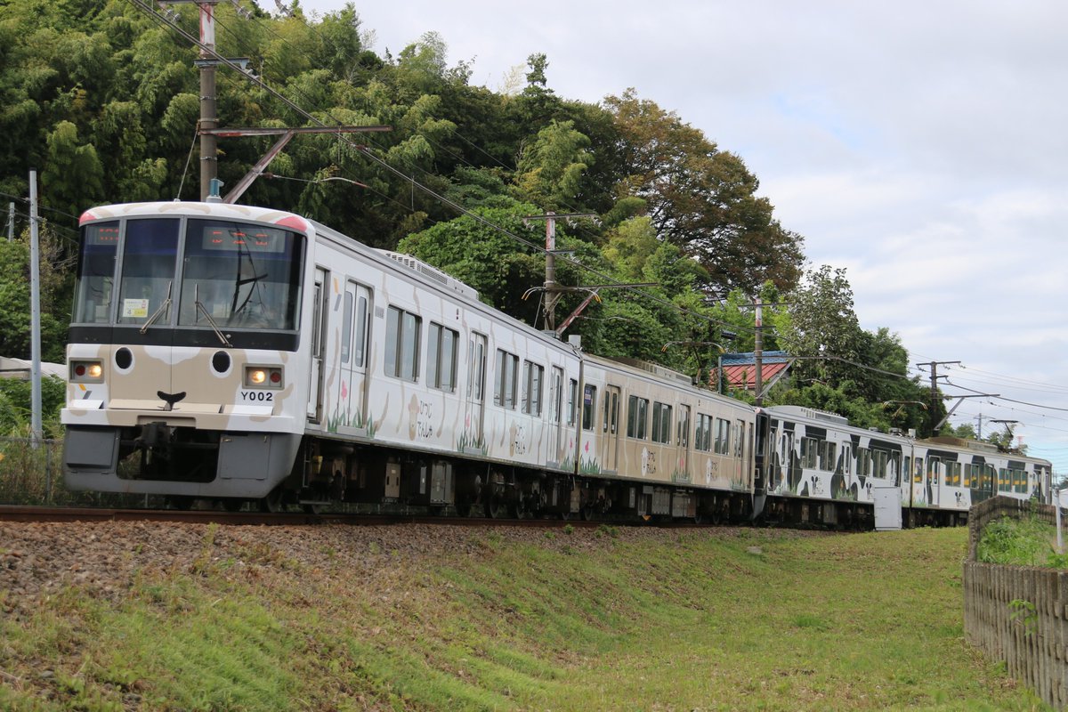 daisukitrain's tweet photo. 2023/10/15
こどもの国線　東急電車まつり開催に伴う臨時列車①
181運行　Y000系Y001F(うしでんしゃ)＋Y002F(ひつじでんしゃ) https://t.co/eBSFgs1NpK