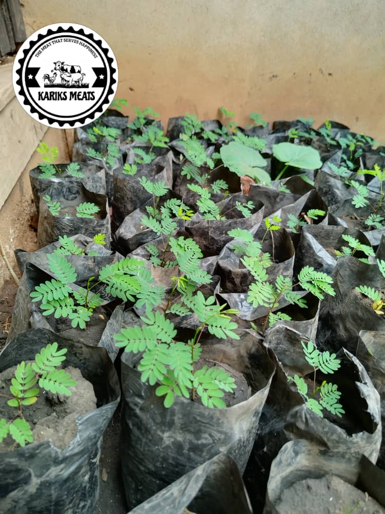 Kariks Meats and Farm tweet media