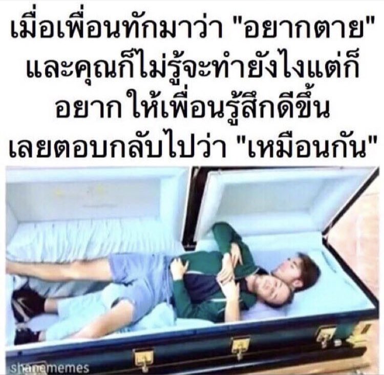 PorschePochi's tweet photo. เพราะทุกทางออกมีปัญหา 🥲 https://t.co/nIQPmQyneO