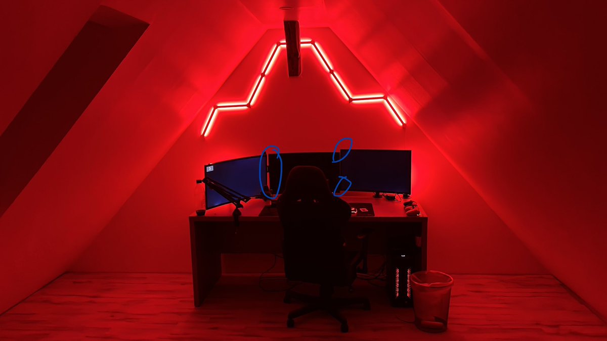 Finn 🐺  tweet media