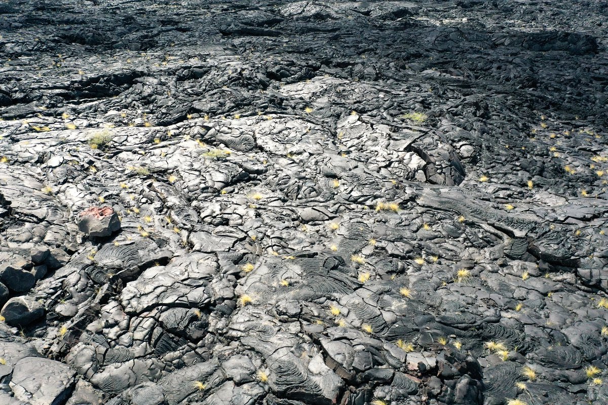 IRONMANtri's tweet image. The one &amp;amp; only Queen Ka&apos;ahumanu Highway 👑

#IMWC2023 #IRONMANtri