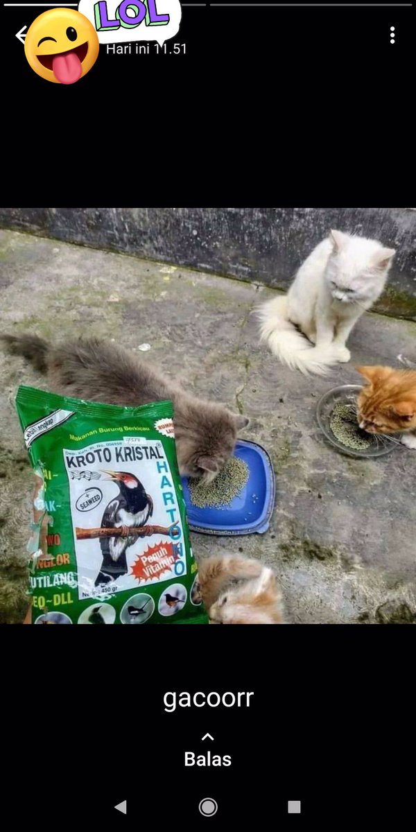 𝙩𝙭𝙩𝙙𝙧𝙨𝙩𝙤𝙧𝙮𝙒𝘼 tweet media