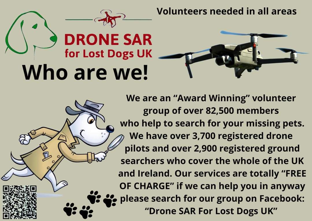 JoyWalker tweet media