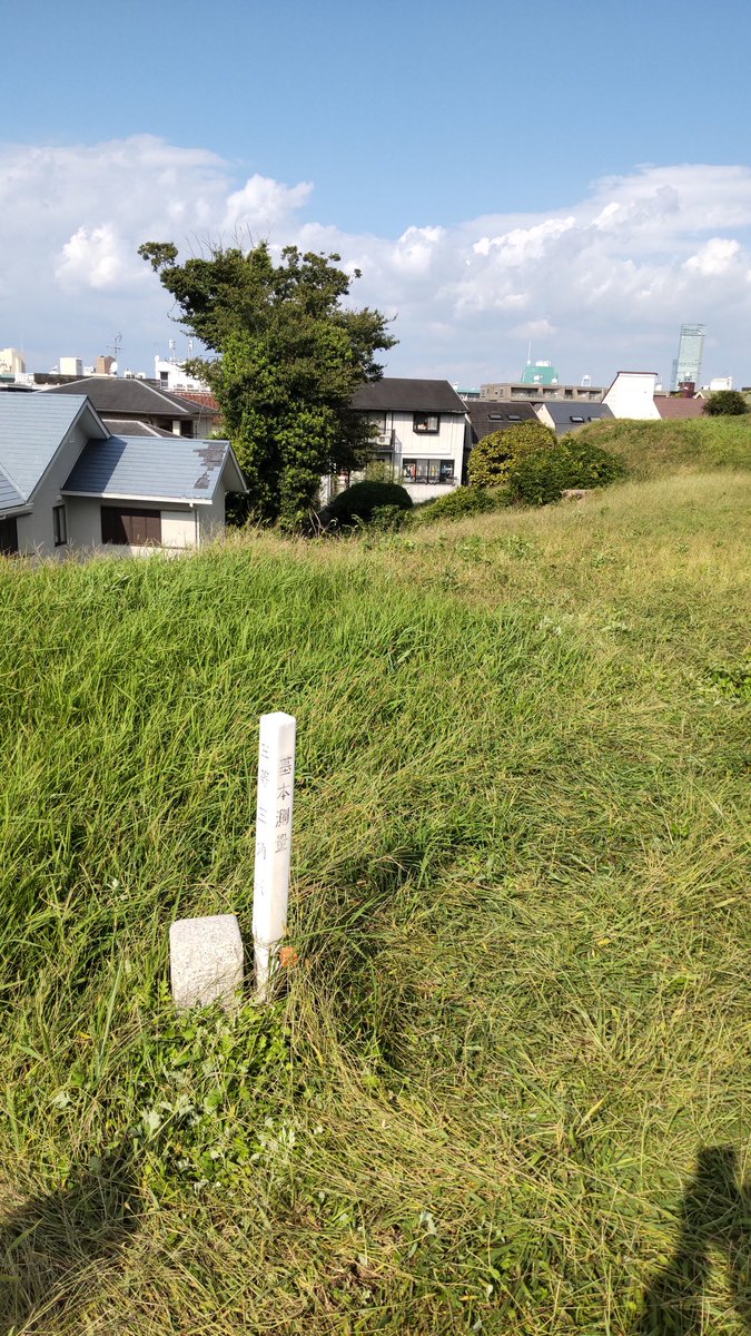 startrek_panda's tweet photo. #すみよし八景2023 のイベントで #帝塚山古墳 に��頂。2014年4月にも #自然史博物館 のイベントでタンポポ調査に来た2回目。また入れると思ってなかったので足を伸ばして行ってきた。勿論、 #三角点 「帝塚山」も再度訪問。 https://t.co/x68oG2si6p