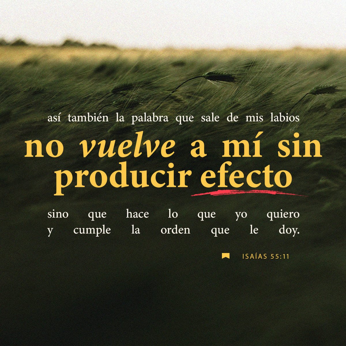 JuaxCastell's tweet photo. así será la palabra que sale de mi boca, no volverá a mí sin cumplir su cometido, sin antes hacer lo que me he propuesto: será eficaz en lo que la he mandado.

ISAÍAS 55:11 BLP
#BDS https://t.co/tsk4haewEW